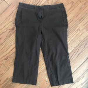 Chocolate brown Capri pants 16